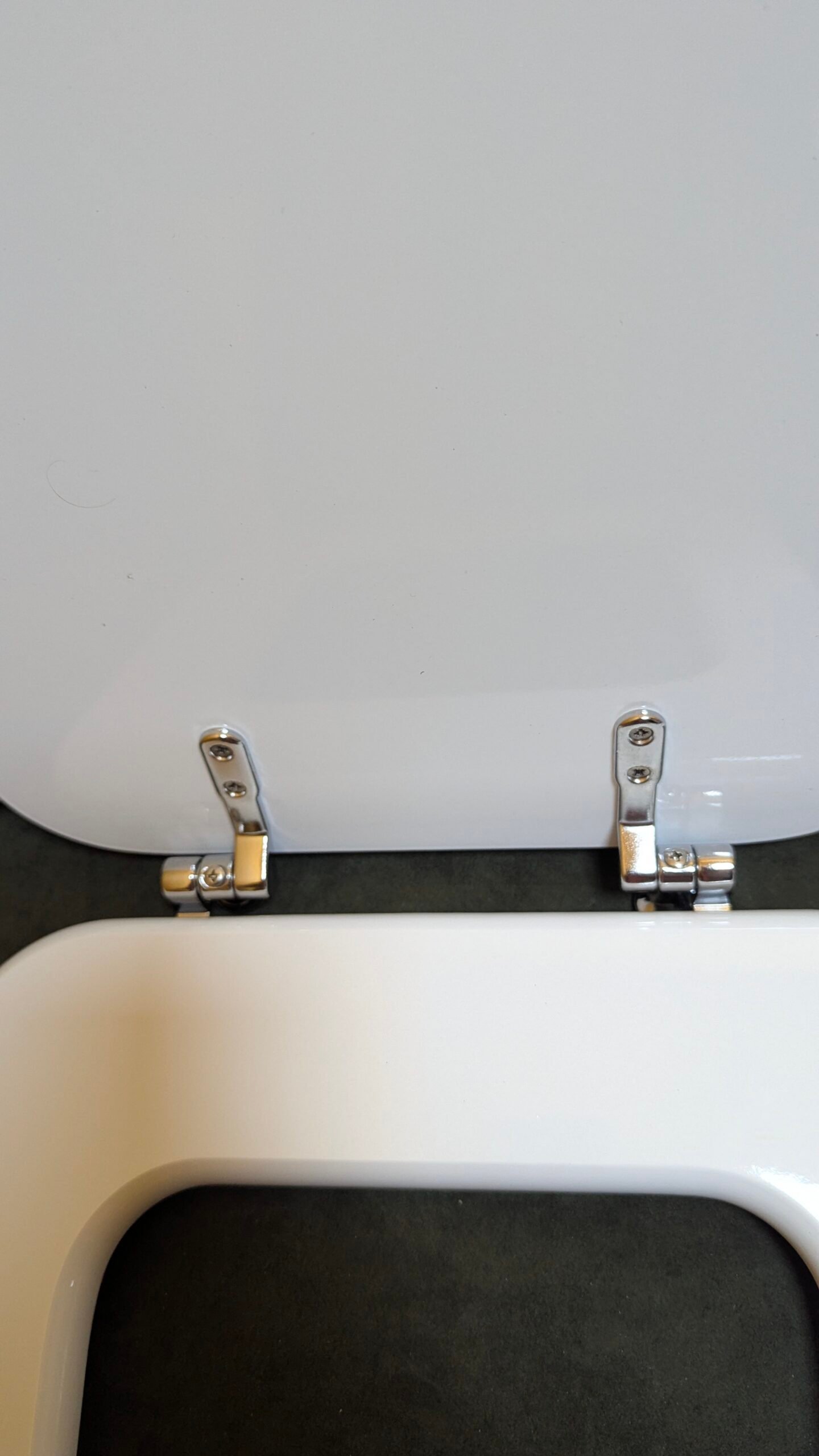 Asiento Inodoro - Oportunexa