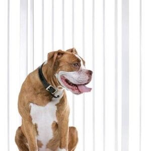 Puerta de seguridad para gatos - Oportunexa